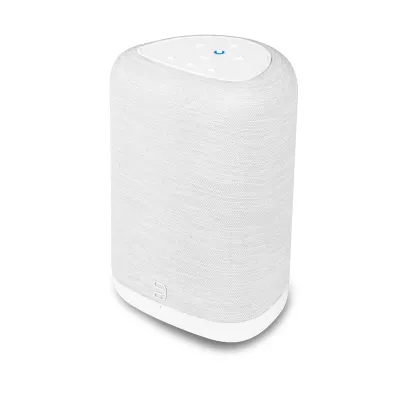 Bluesound Pulse Flex P130 a Ginevra | Digistore.ch